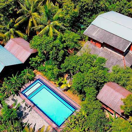 Sun And Green Eco Lodge - דמבולה מראה חיצוני תמונה