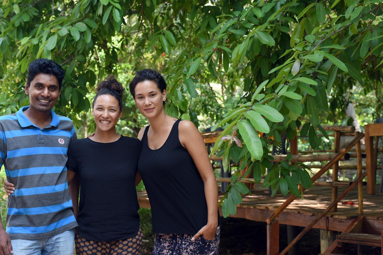 Sun And Green Eco Lodge - דמבולה מראה חיצוני תמונה