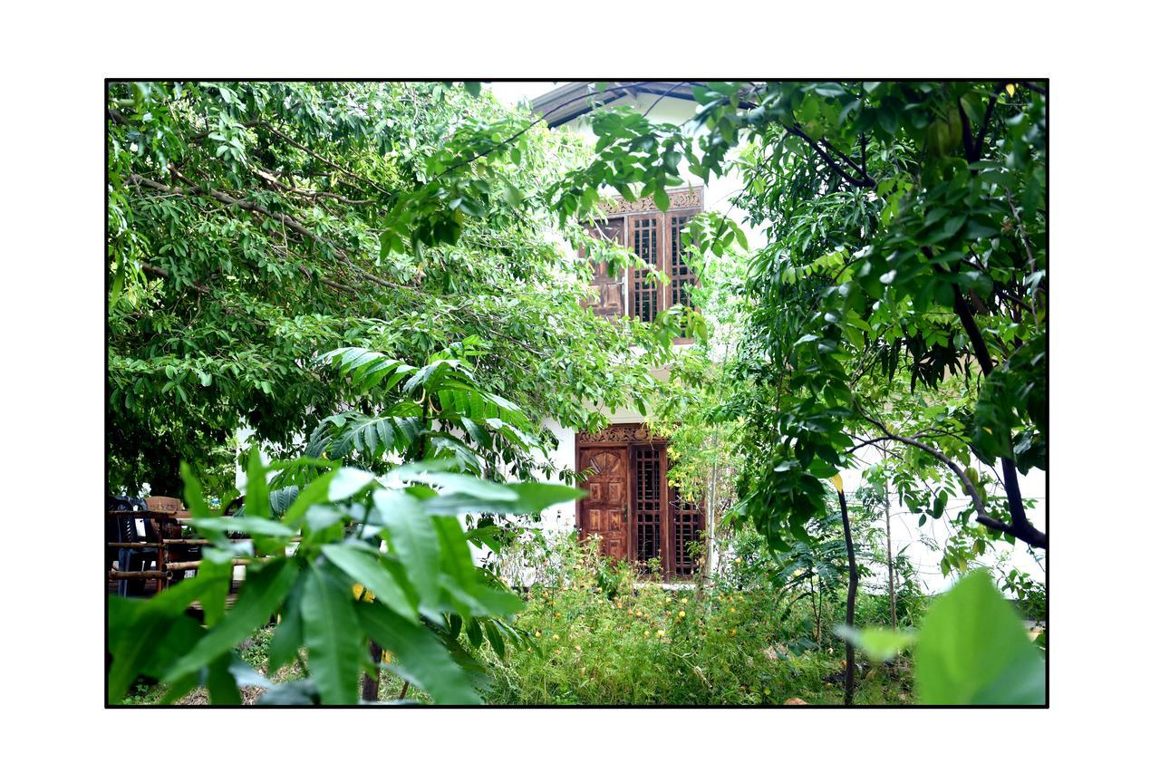 Sun And Green Eco Lodge - דמבולה מראה חיצוני תמונה
