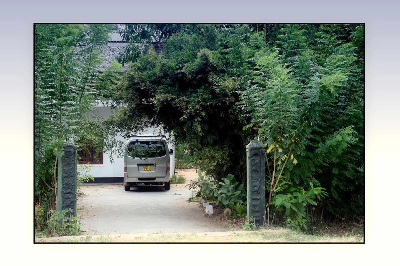 Sun And Green Eco Lodge - דמבולה מראה חיצוני תמונה