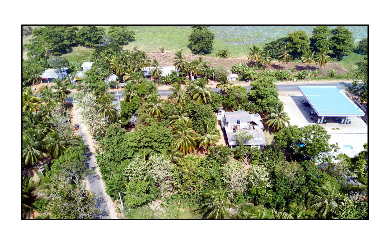 Sun And Green Eco Lodge - דמבולה מראה חיצוני תמונה