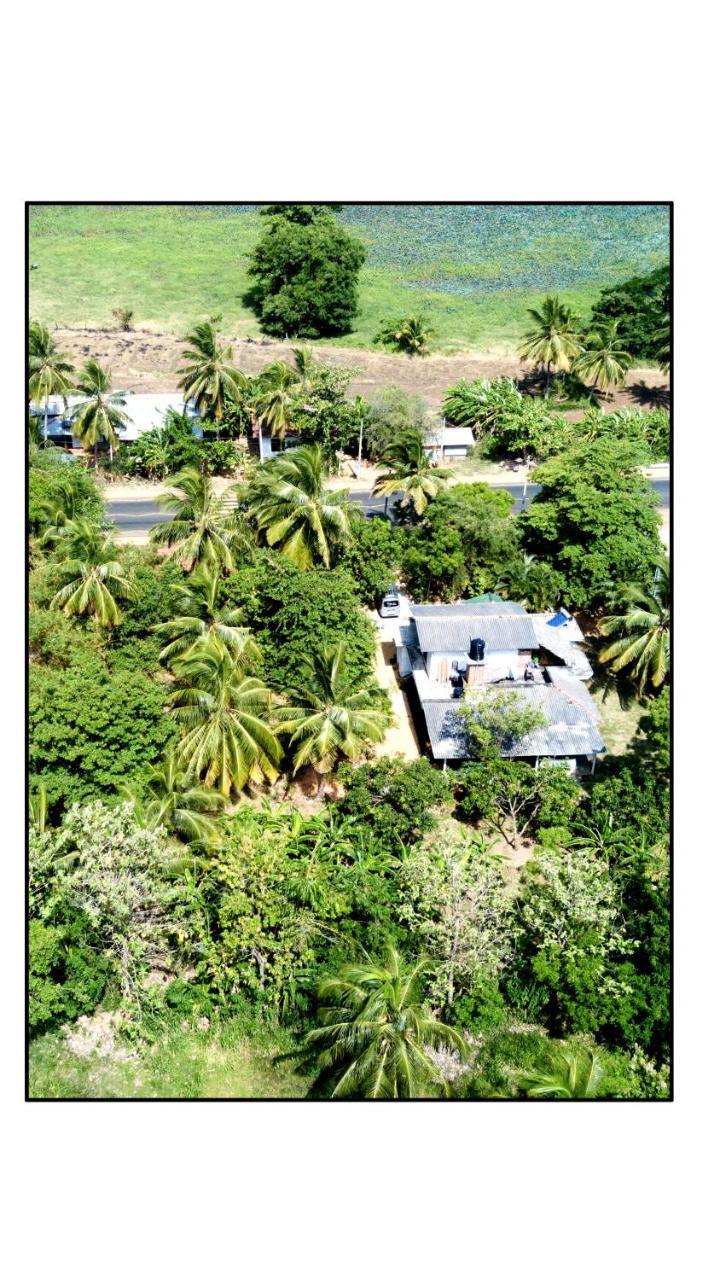 Sun And Green Eco Lodge - דמבולה מראה חיצוני תמונה