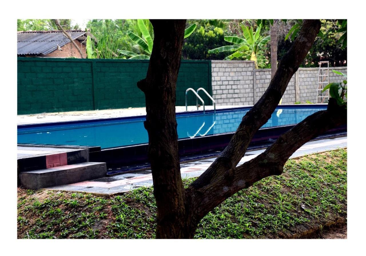 Sun And Green Eco Lodge - דמבולה מראה חיצוני תמונה