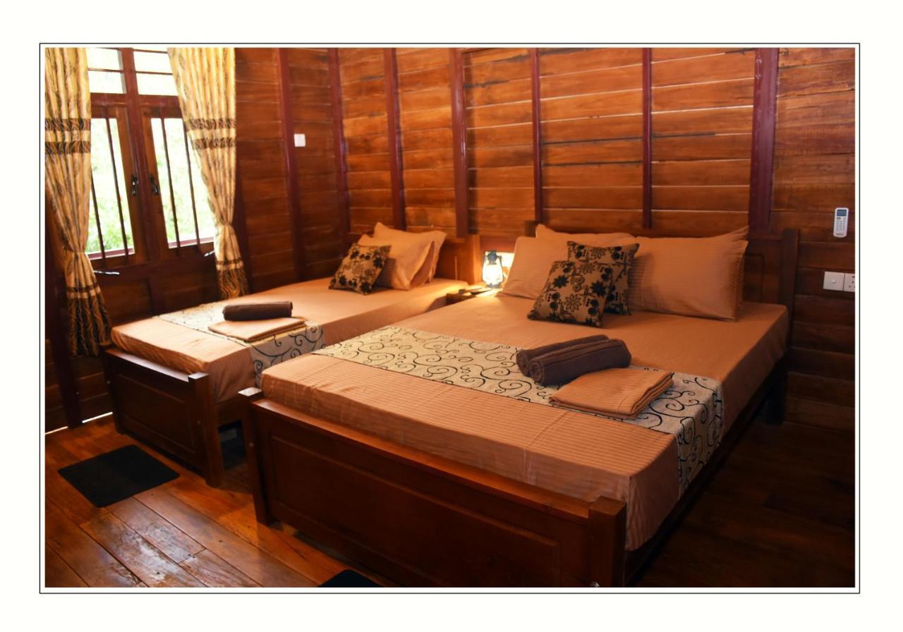 Sun And Green Eco Lodge - דמבולה מראה חיצוני תמונה
