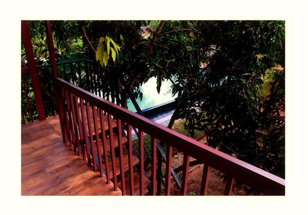 Sun And Green Eco Lodge - דמבולה מראה חיצוני תמונה