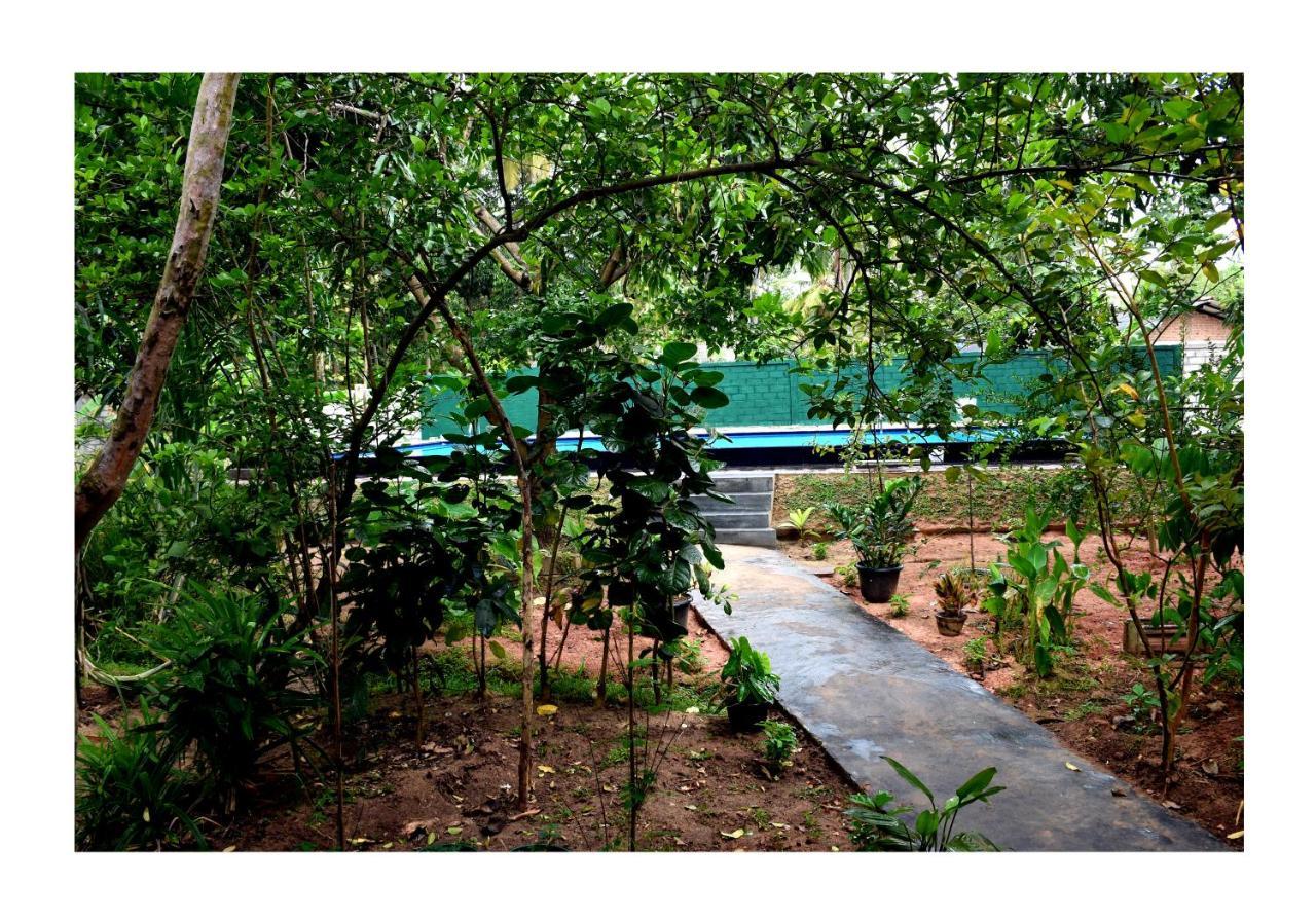 Sun And Green Eco Lodge - דמבולה מראה חיצוני תמונה