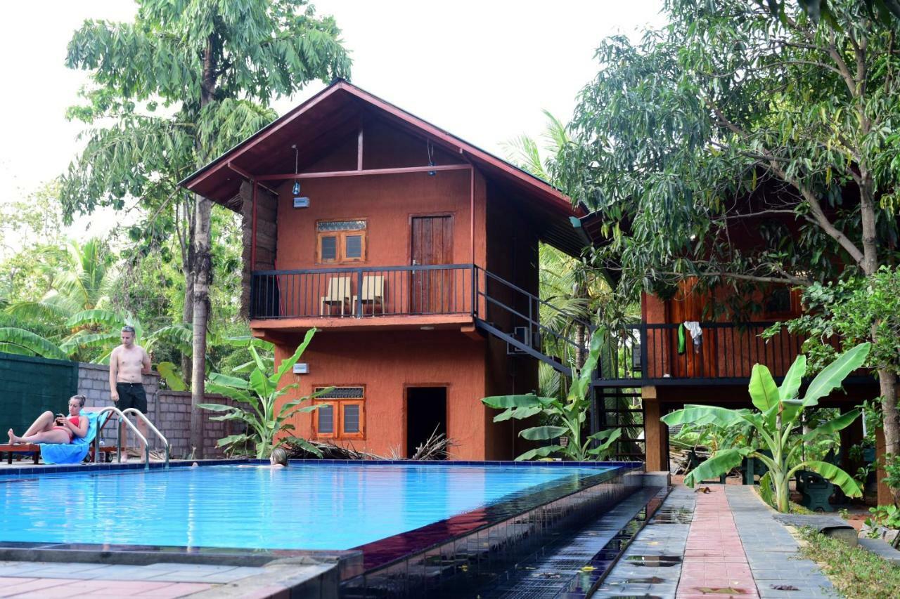 Sun And Green Eco Lodge - דמבולה מראה חיצוני תמונה