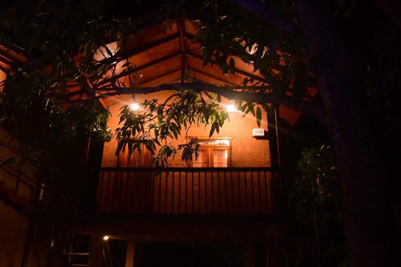 Sun And Green Eco Lodge - דמבולה מראה חיצוני תמונה